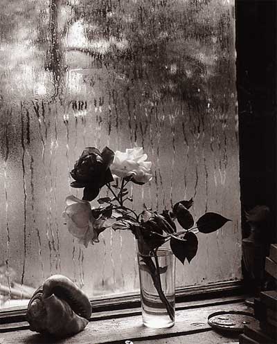 http://www.yohado.com/wp-content/2009/10/josef-sudek.jpg