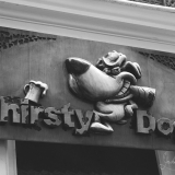 DSC_0098