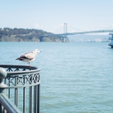 California015
