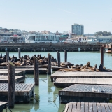 California028