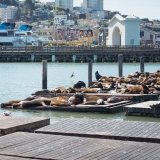 California033