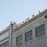California040