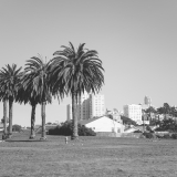 California067