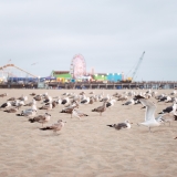 California149