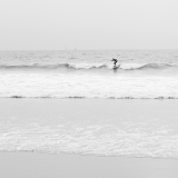 California169