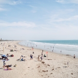 California239
