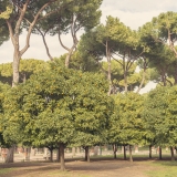 Italy045