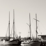 _DSC1851