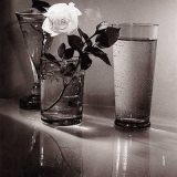 sudek01 (1)